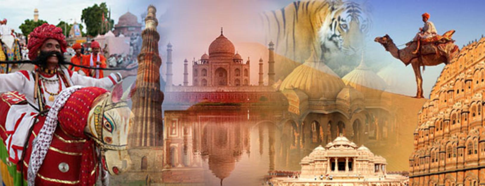 Golden Triangle Packages