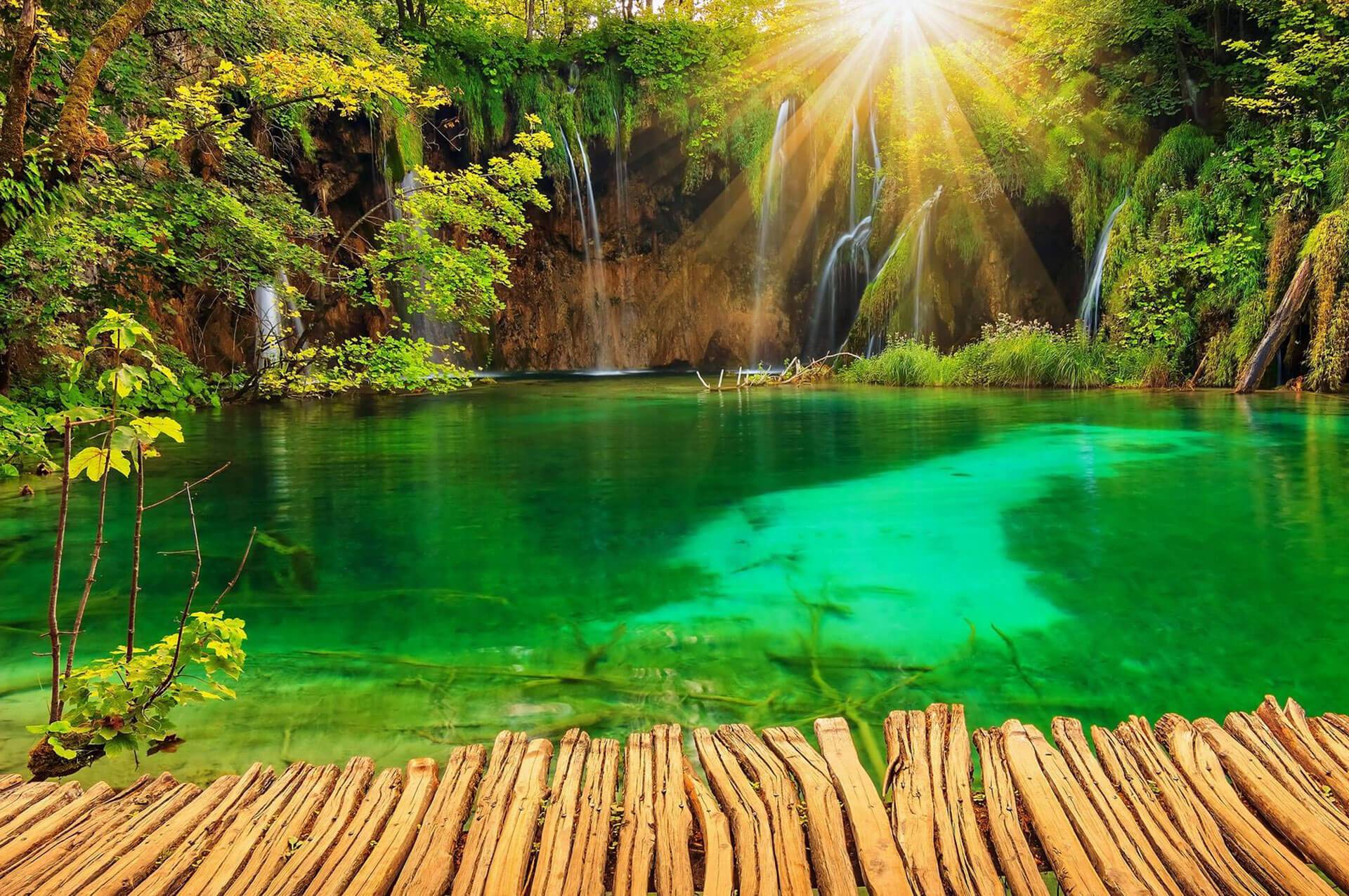 Travelers Dream